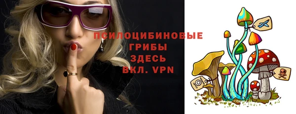 spice Аркадак