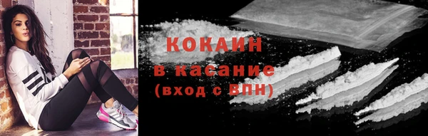 spice Аркадак