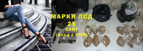 spice Аркадак