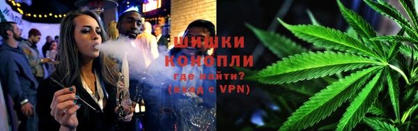 spice Аркадак
