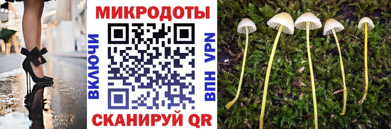 Псилоцибиновые грибы Cubensis  Свирск 